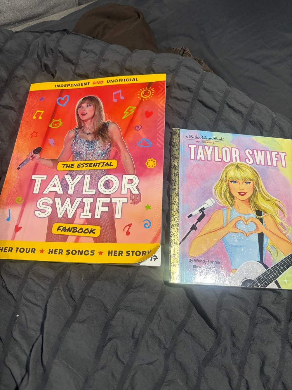 Taylor Swift Fanbook Collection - Pink & Pastel Covers